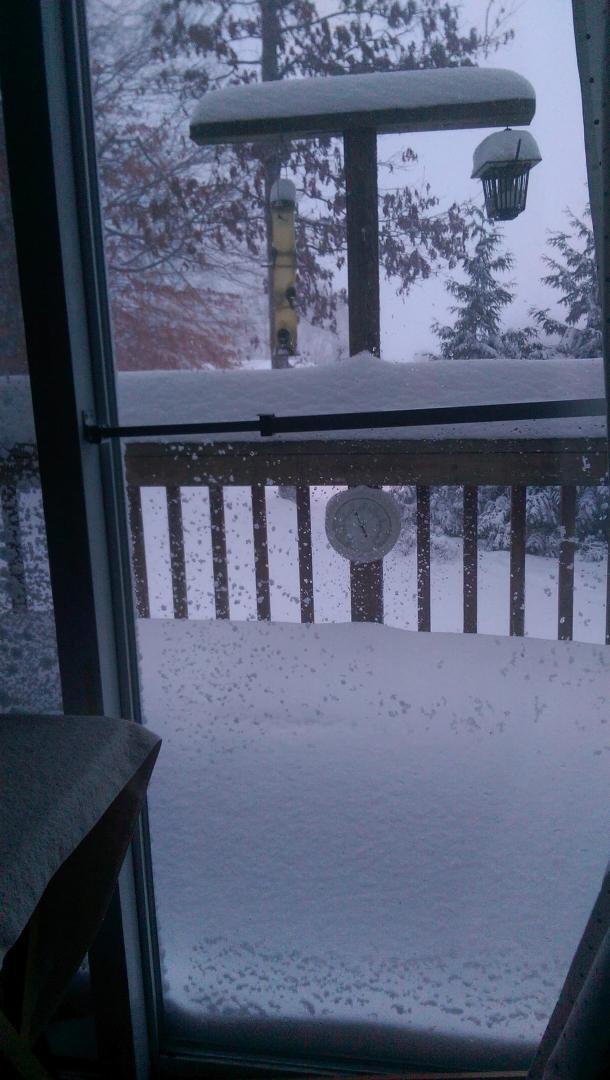 Our front deck.