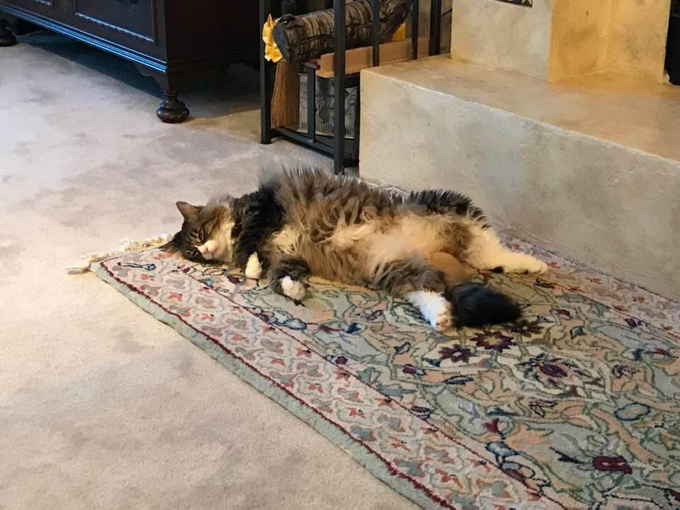I so wish she would just relax...