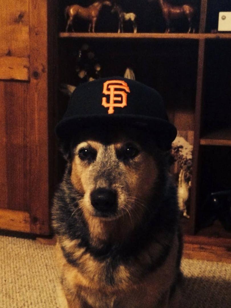 Jon Holmberg's album, iOS Photos