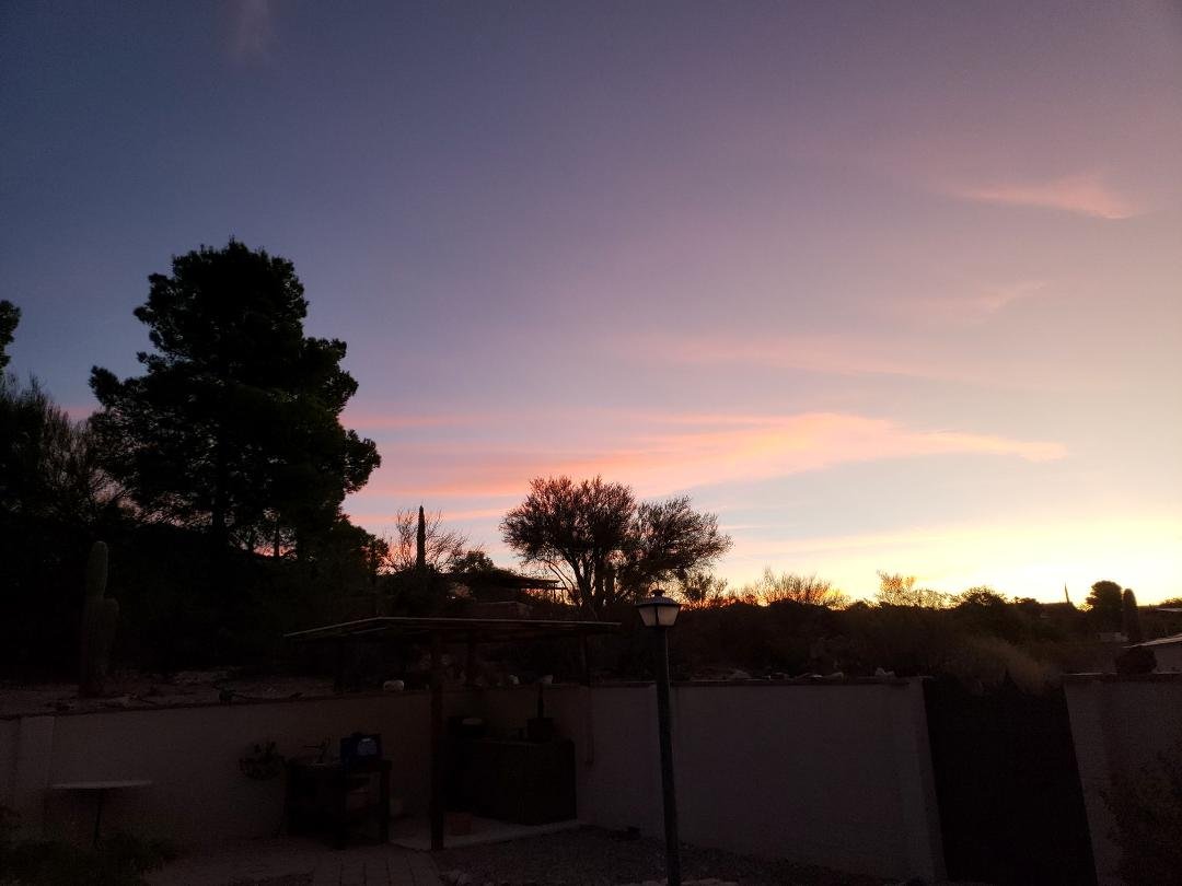 Good morning! Sorry I missed the earlier brilliant pink!