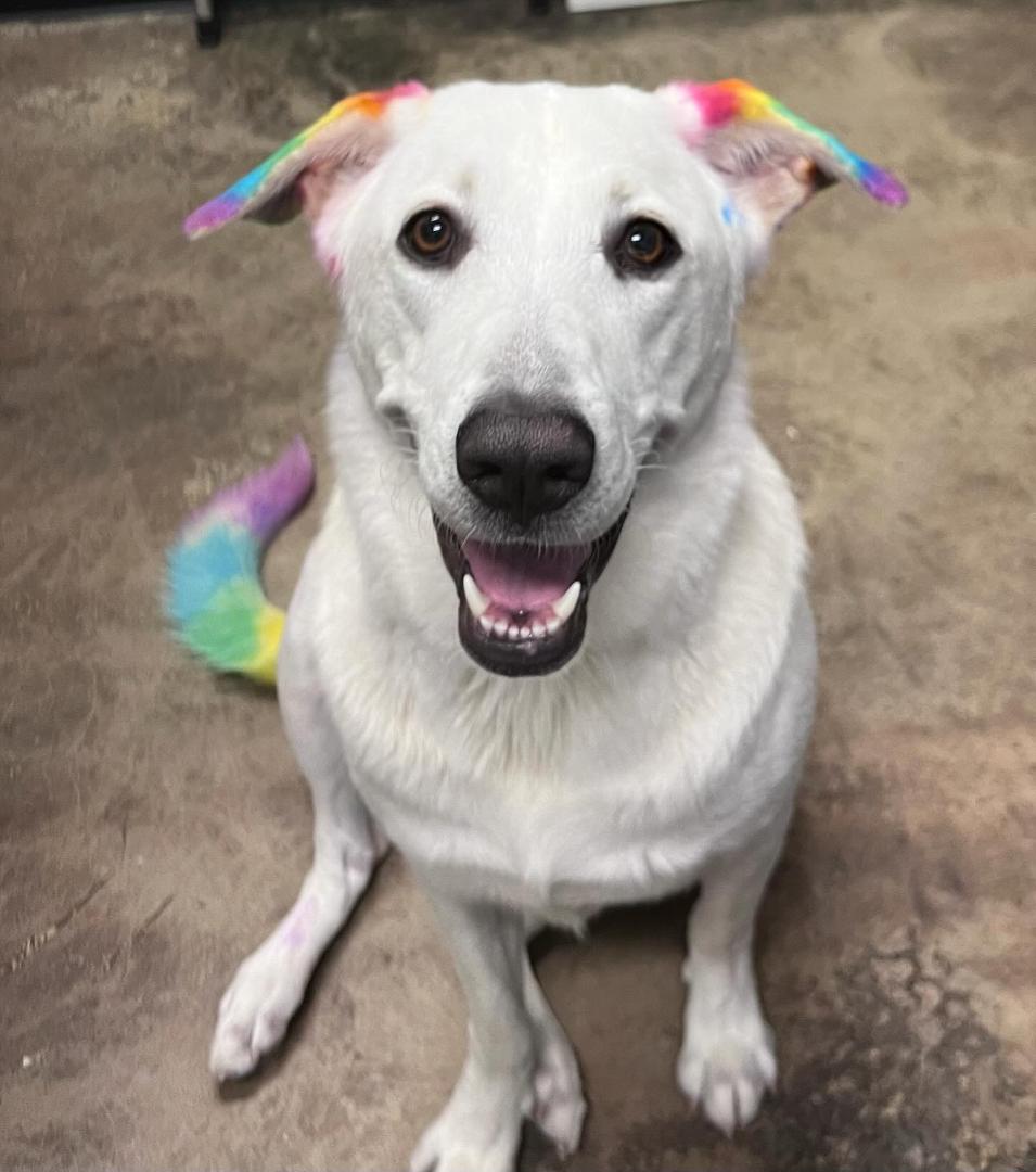 Eric McGowan's album, Timeline photos