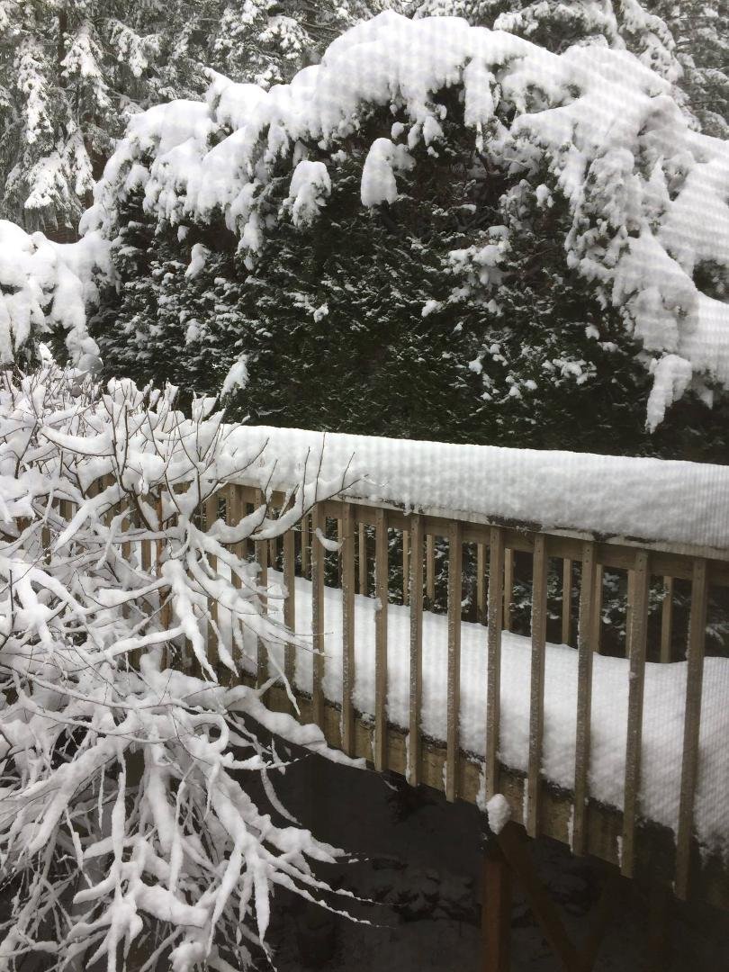 We had a foot of snow last night. It shut down the whole town.