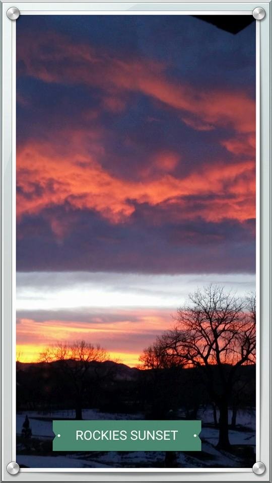 PETER Adam's album, Mobile Uploads
