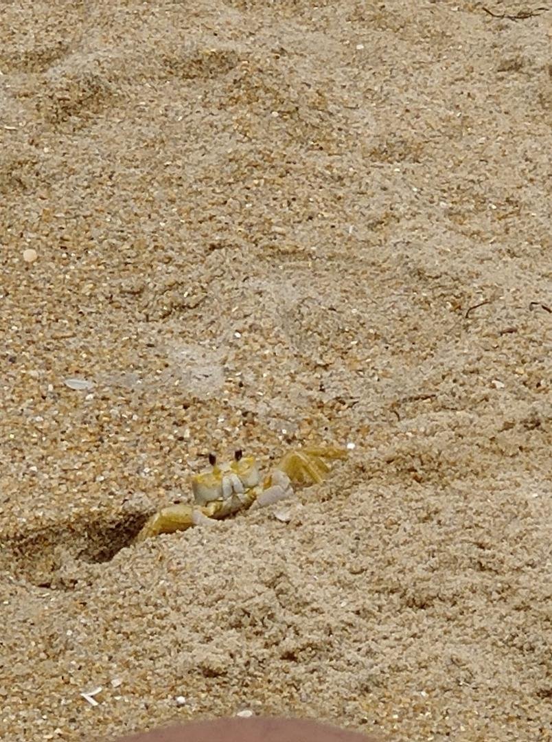 Greetings from OBX!