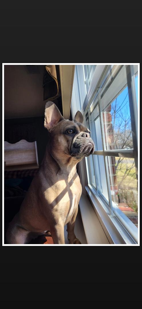 Thalia On Drone Watch