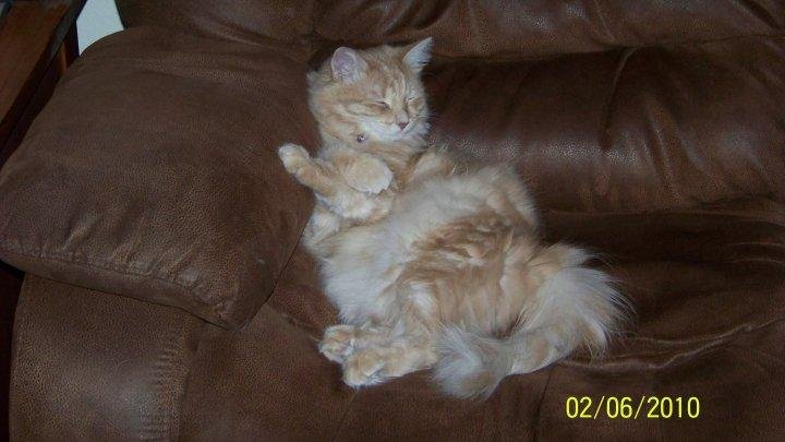 don't bother me - I'm chillin'