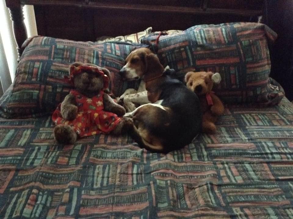 This is what happens when I make the bed.