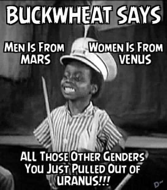 Biden you idiot...