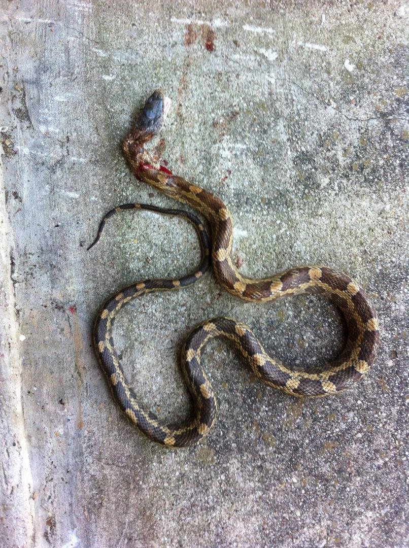 By my garage door when we came home from church.