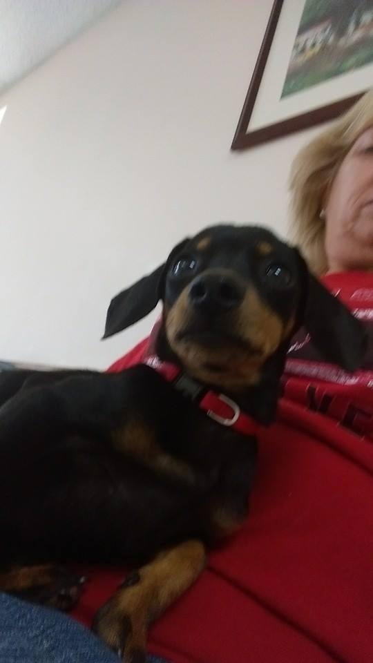 First trip to the vet. A little apprehensive lol