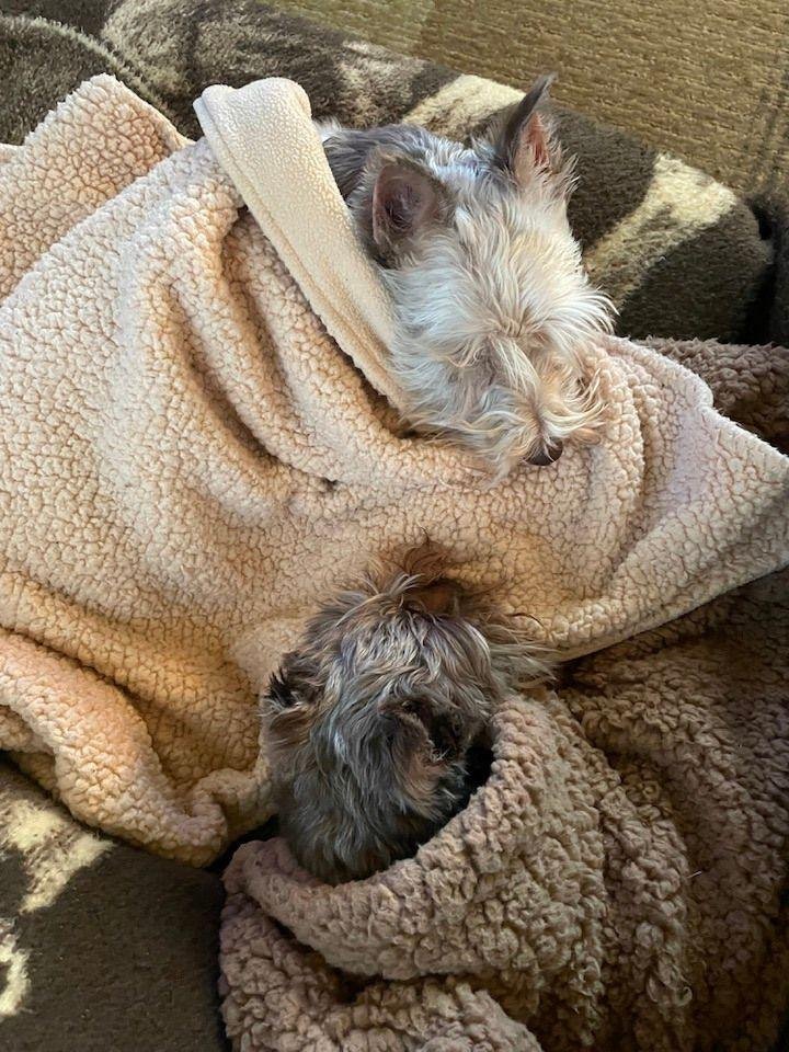 Snuggle time