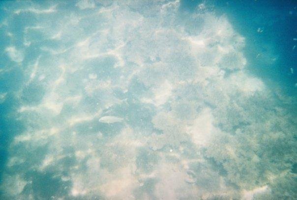 Susan Holloter's album, Vacation 08/2008