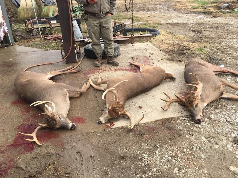 From this morning. One on the left is from the back forty.