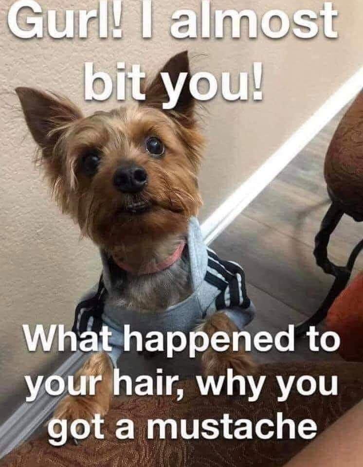 This is how I feel about myself!