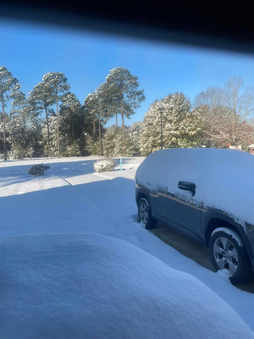 This is what I found this morning in Lee County GA