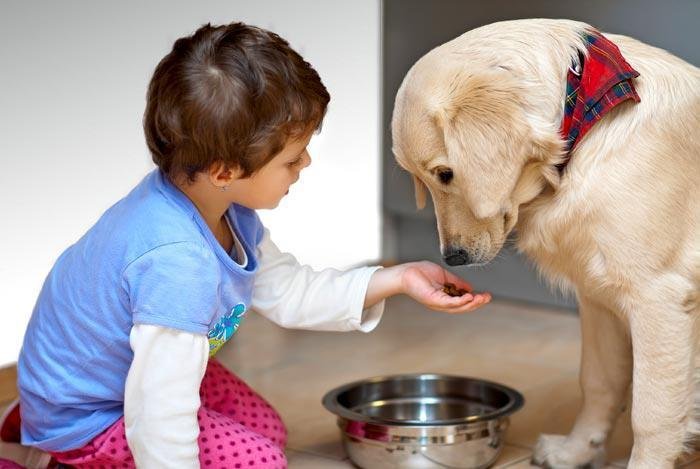 "Child Feeding Dog" puzzle, from http://puzzledhearts.com/ph?pid=child_feeding_dog