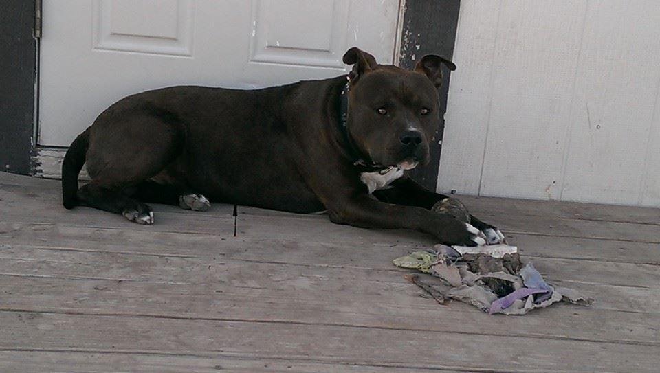 Got to get home thay all miss me