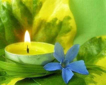 Donna Blassingham's album, Timeline Photos