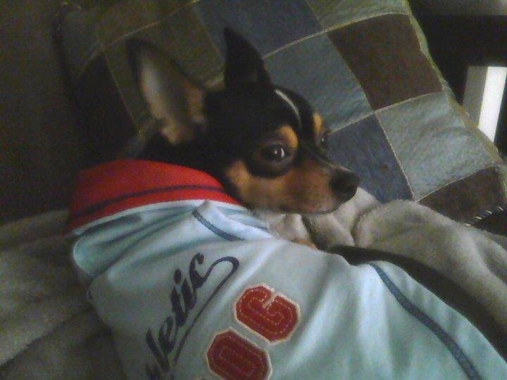 Mama's little boy!