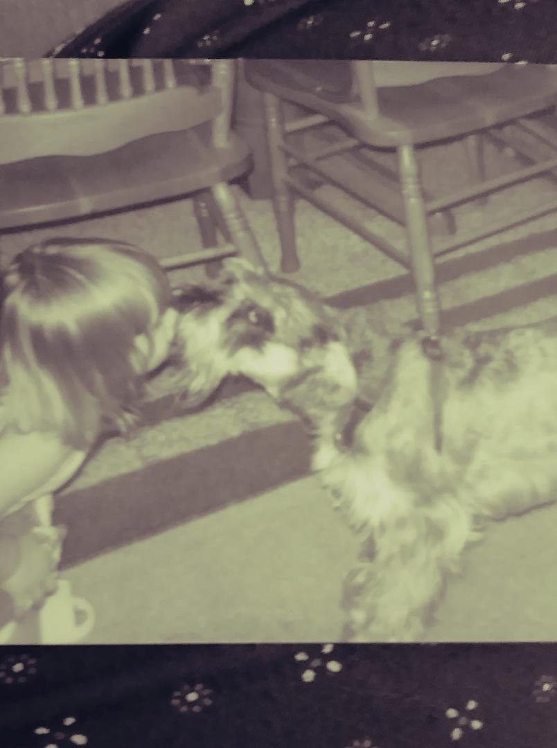 Teddy dog loved his grandbabies.