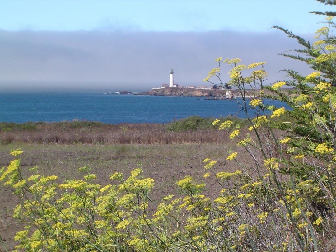 This is the Pigeon Point Lighthouse, Highway 1, Pacific Coast, California