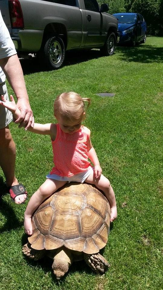 Cute tortise girl riding the front yard