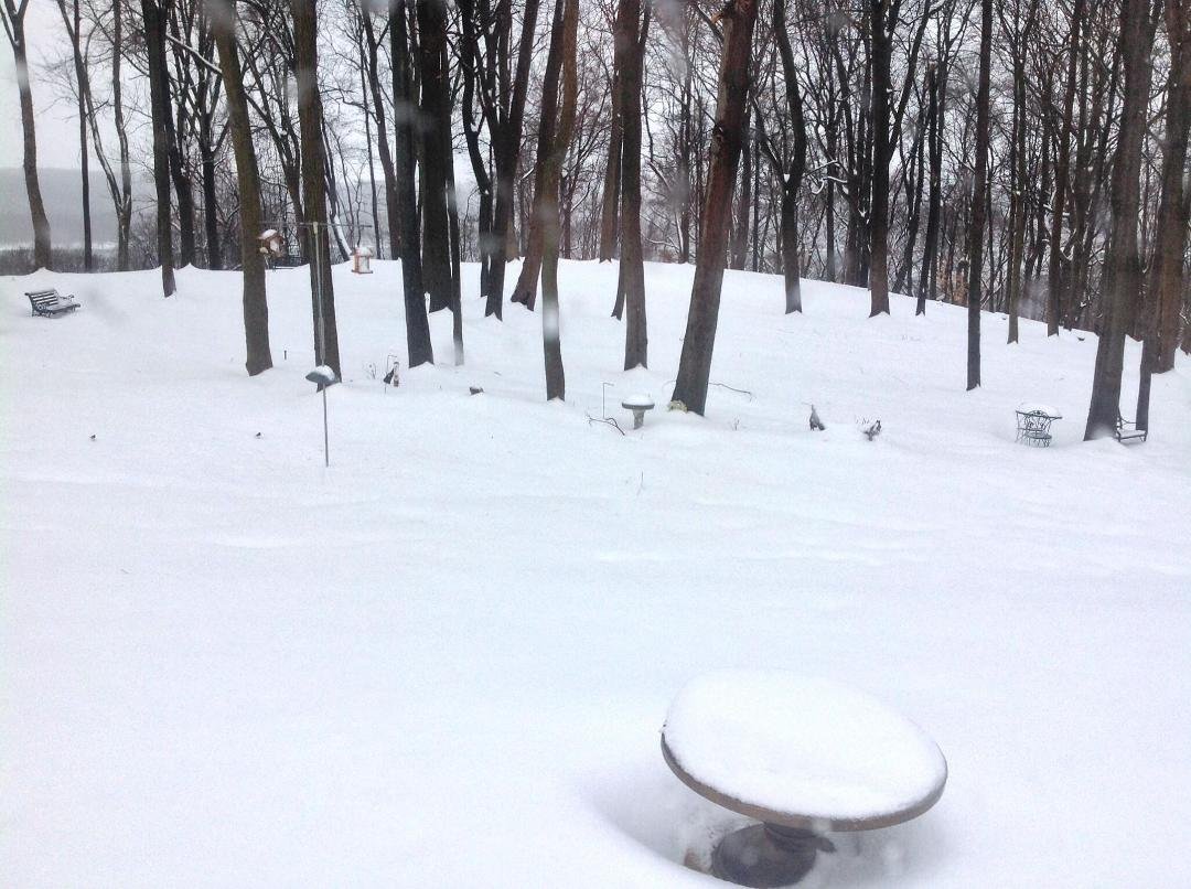 A Winter Wonderland!