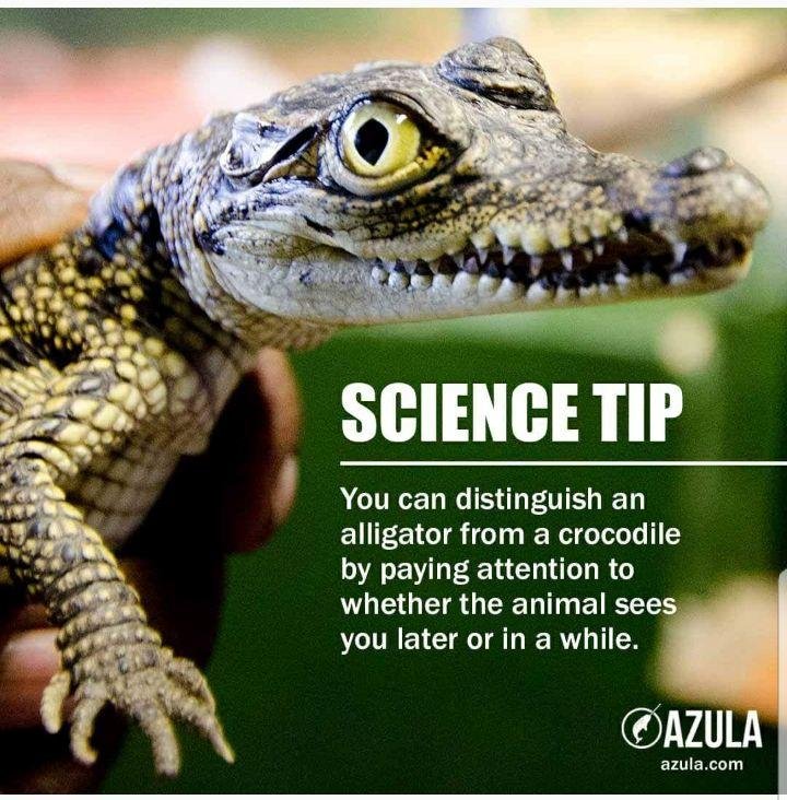 Had to share this one.....Interesting Fact