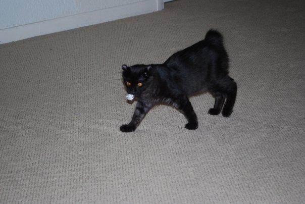 Emi carrying her foil ball .