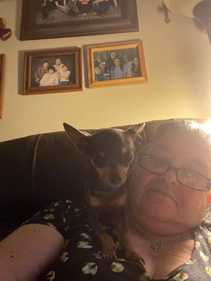 Antorio has started sitting on my shoulder. Thinks he’s a parrot I guess.