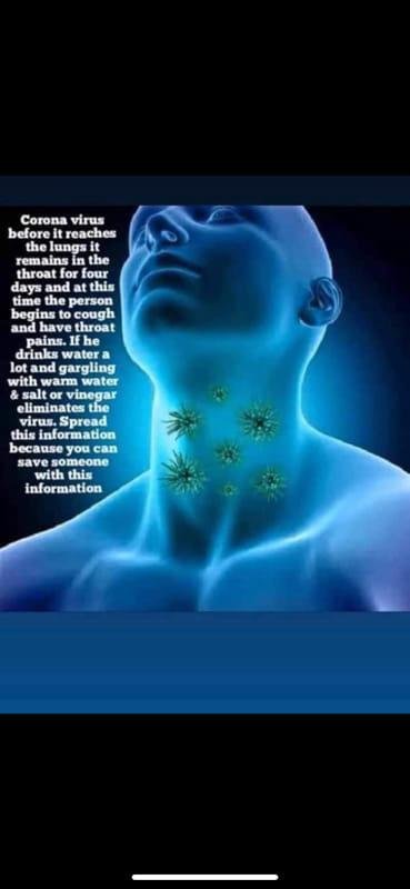 Gargle with warm salt water or vinegar when the beginning of sore throat kills the coronavirus with in 4 days