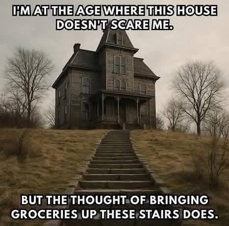 John Hermanson's album, Timeline photos