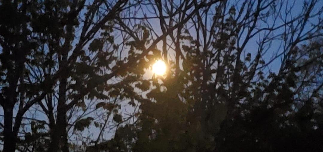 It's like afternoon outside. Bright full moon