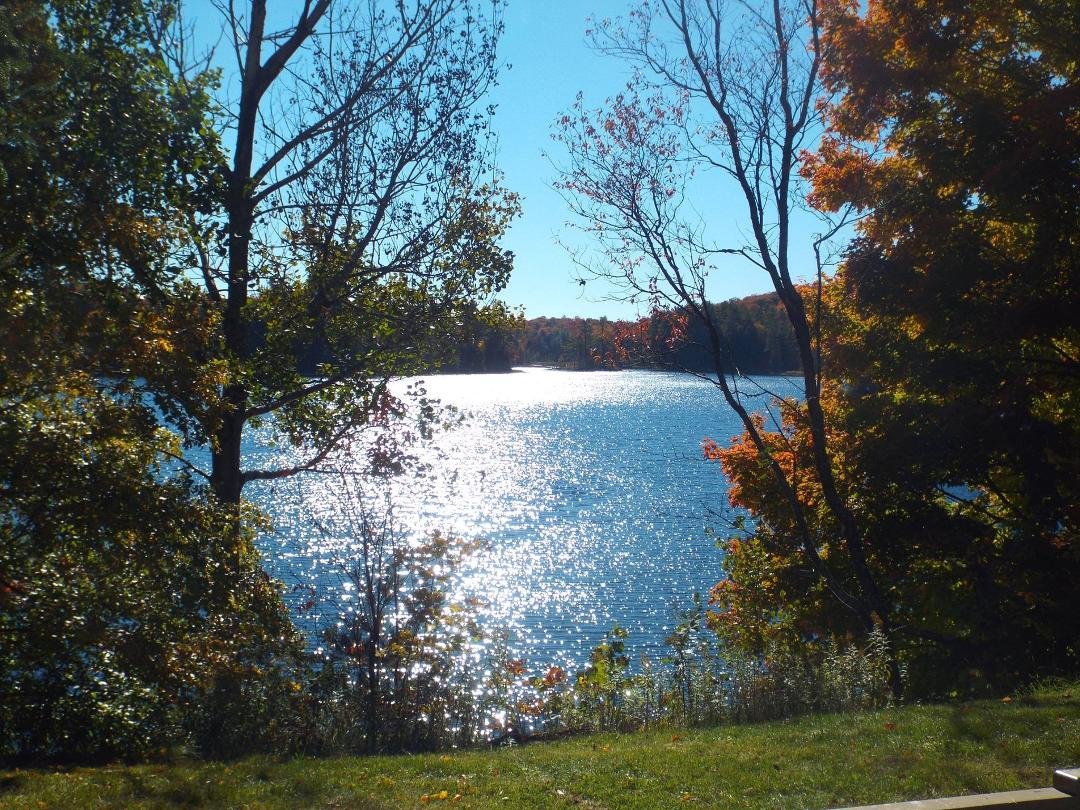 Mike Romano's album, Timeline Photos