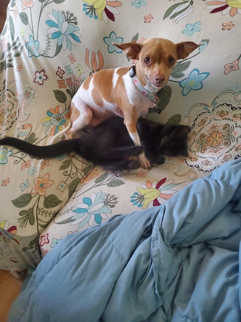 Ginsburg felt like Salem needed a bath. I love the look on her face...WHAT?