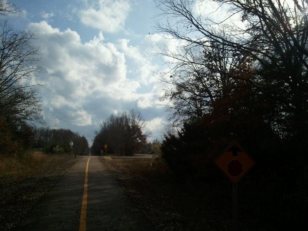 Out walking on the Tanglefoot Trail