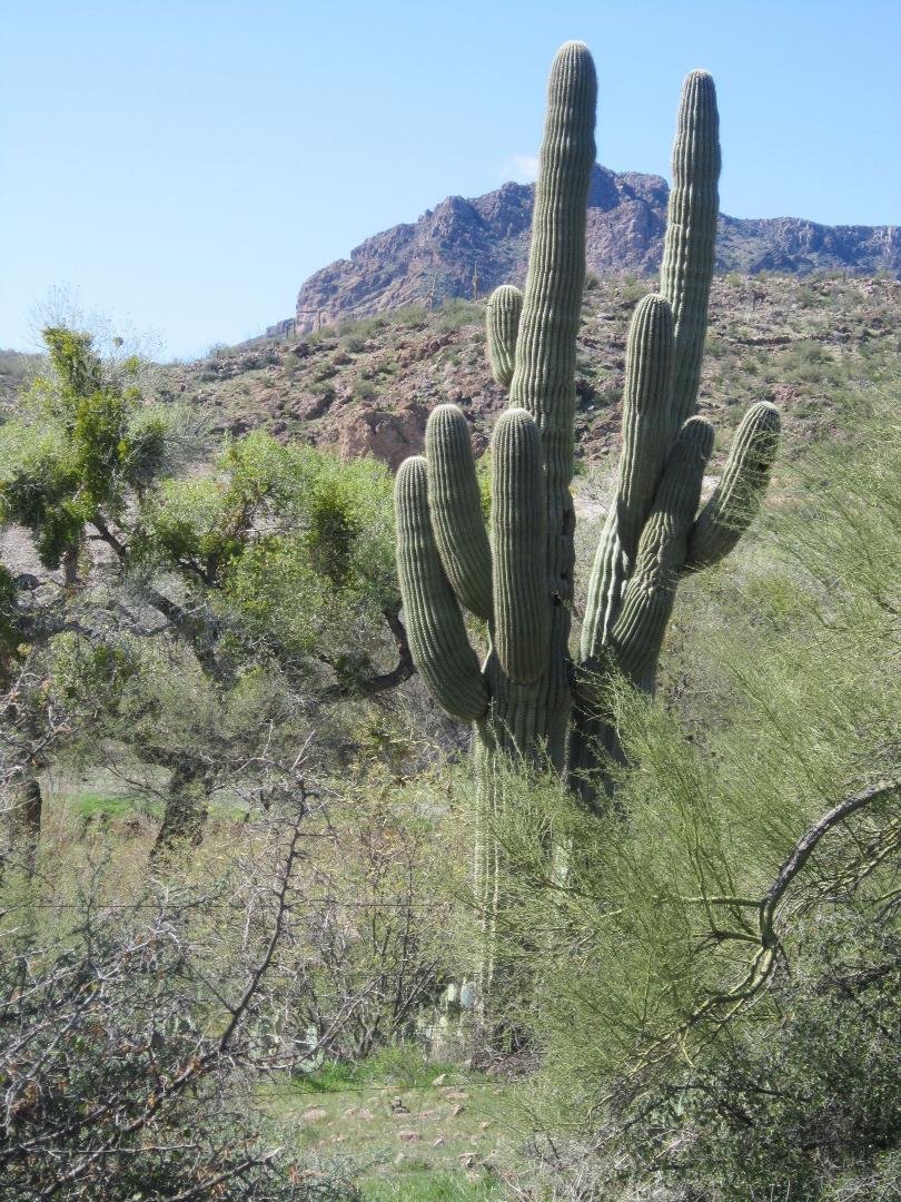Dan Griffin's album, LOST hike 2-18-12