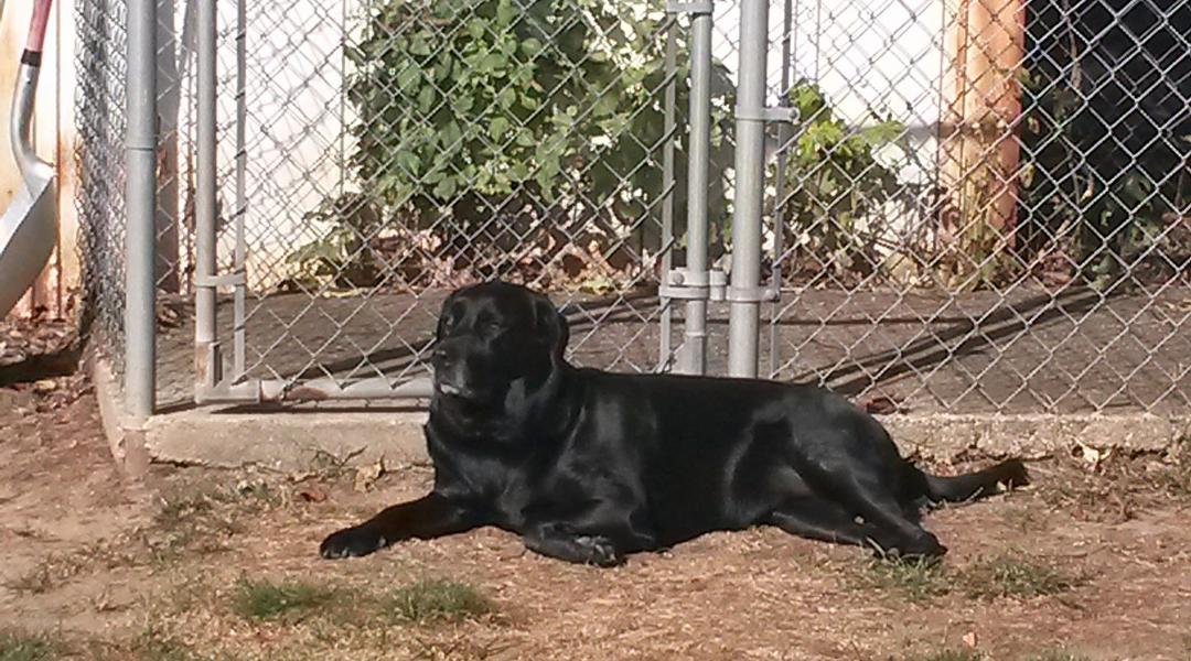 Always has to lay down in the dirt!!