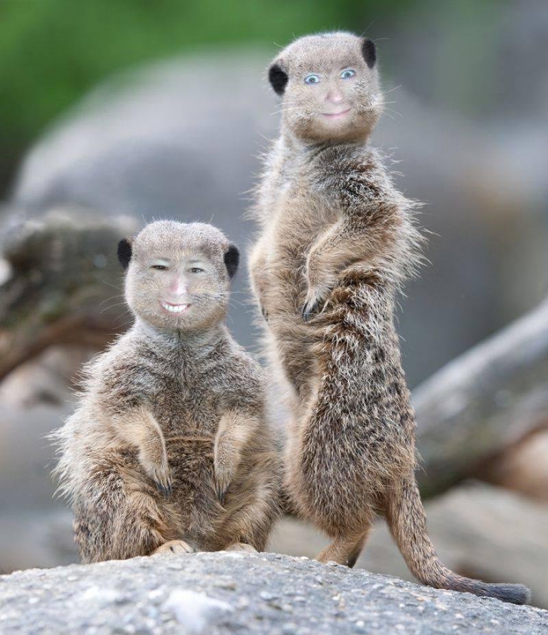 We're checking you out...