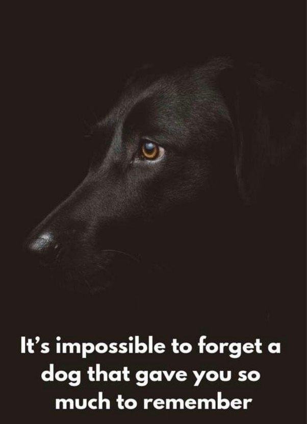 Tim Newby's album, Timeline photos