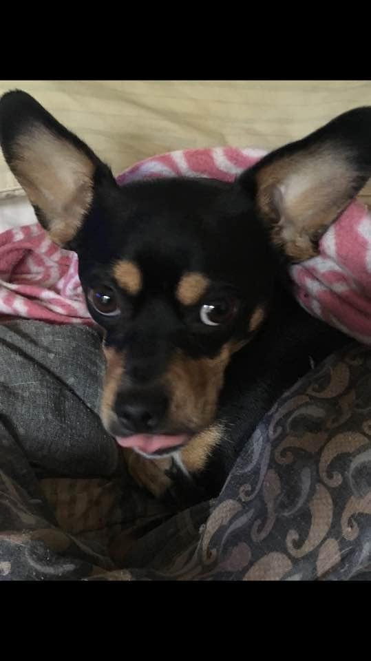 I asked my little Rulita how she was feeling and this was my response, I guess it runs in the family, hehe