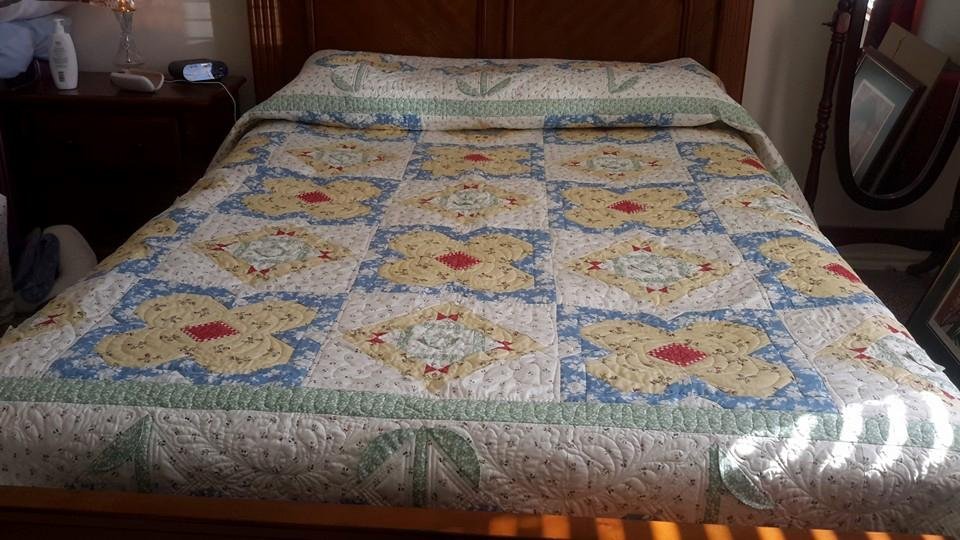 Donna Hall's album, Mobile Uploads