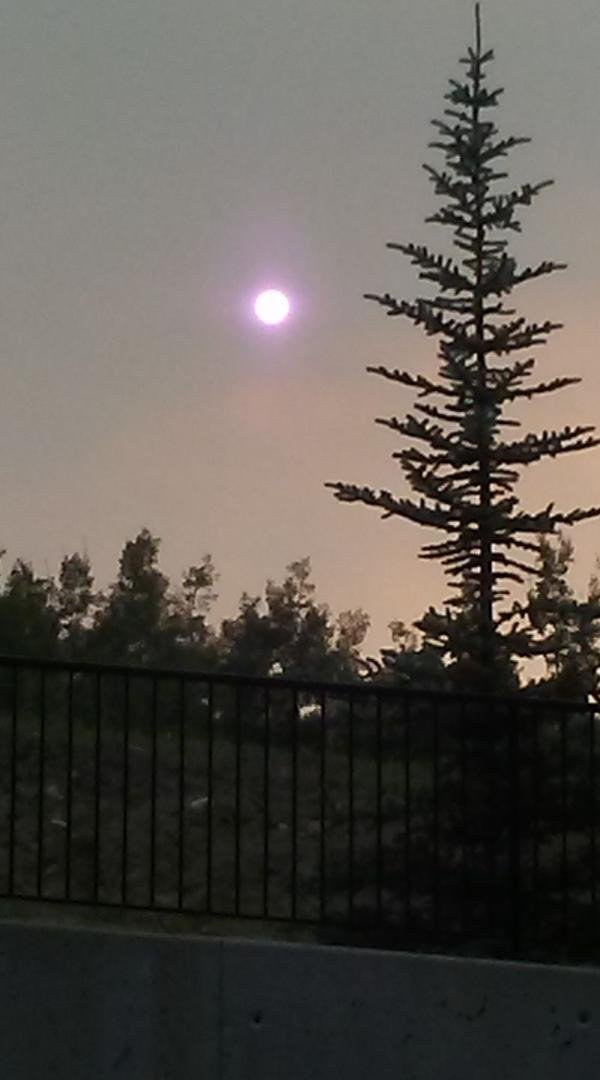 Smokey day in Cochrane