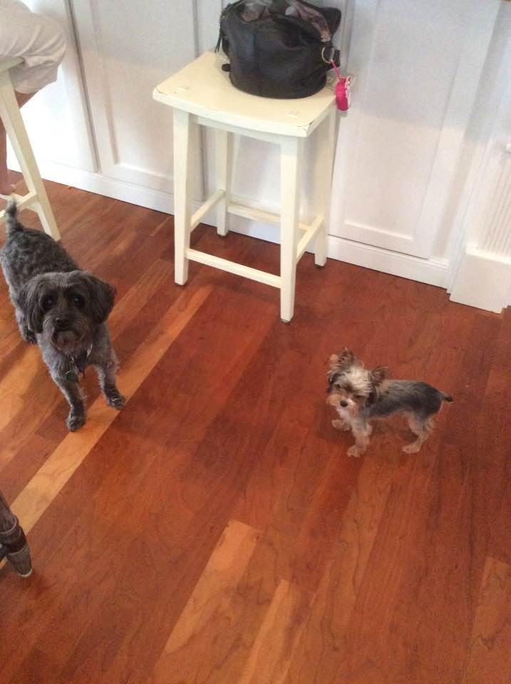 Cousins celebrating Hurricane Matthew