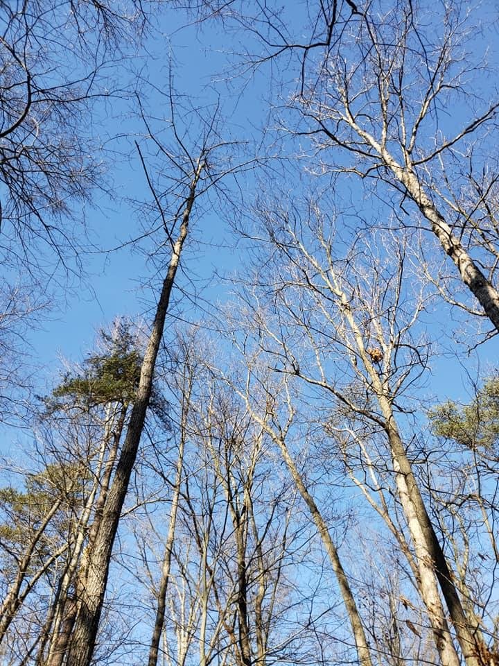 Diane Chaplik's album, Timeline Photos