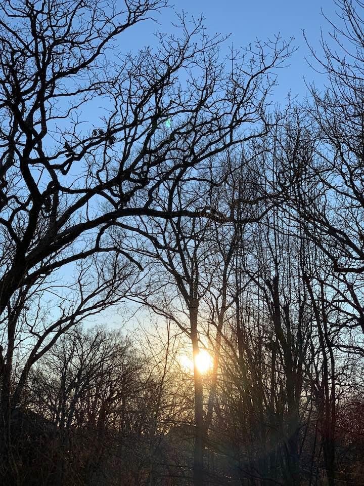 Nice sunset from my deck on a beautiful day.