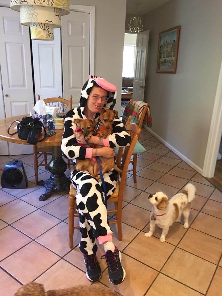 My friends Christina the cow, rocky and Leila visiting this morning!