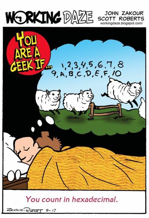 You know you're a geek if....