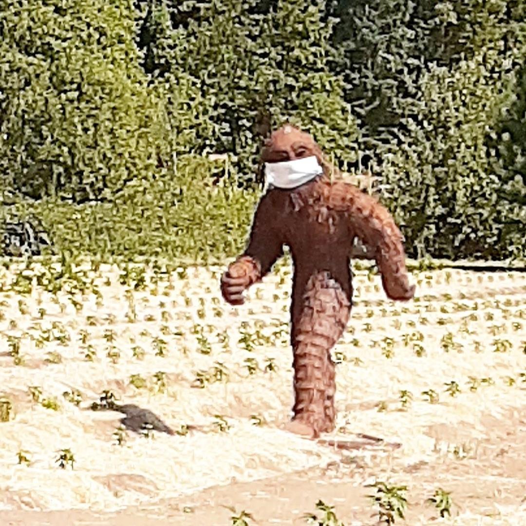Even Sasquatch knows how to be safe.