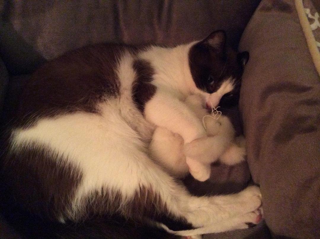 I love sleeping with my bunny.